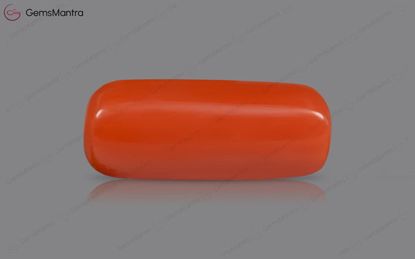 Red Coral - 5.3 Carats