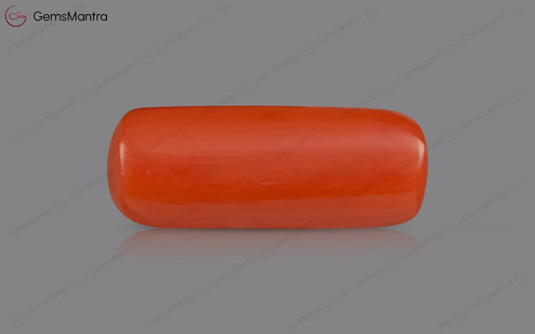 Red Coral - 5.25 Carats