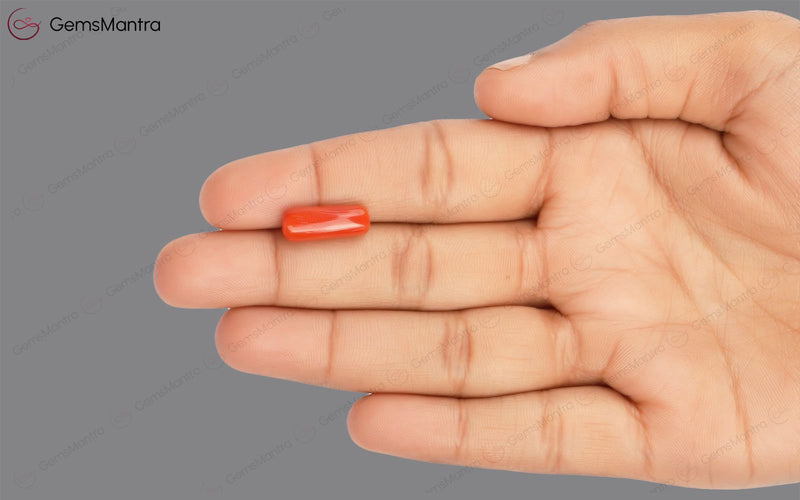 Red Coral - 5.25 Carats