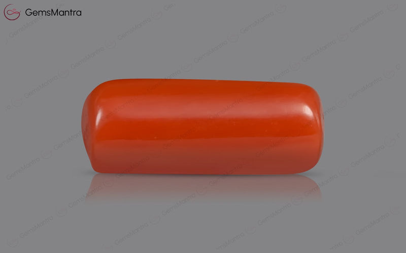 Red Coral - 4.93 Carats