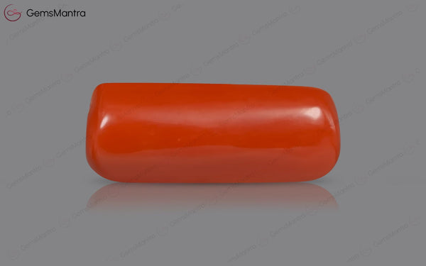 Red Coral - 4.93 Carats