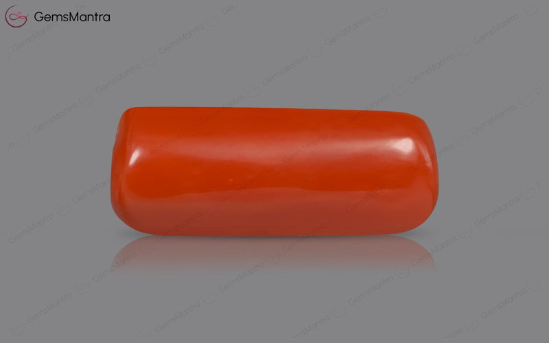 Red Coral - 4.93 Carats