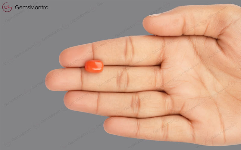 Red Coral - 5.1 Carats