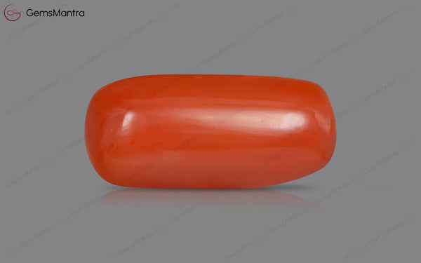 Red Coral - 5.14 Carats