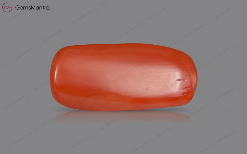 Red Coral - 5.14 Carats