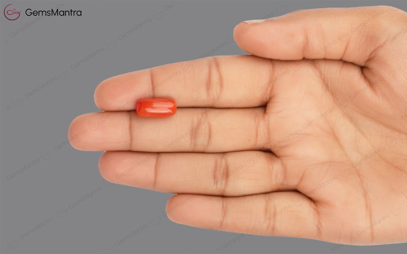 Red Coral - 5.14 Carats