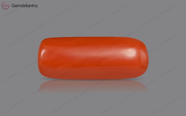 Red Coral - 5.2 Carats