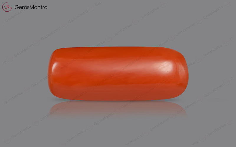 Red Coral - 5.2 Carats