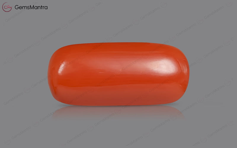 Red Coral - 5.26 Carats
