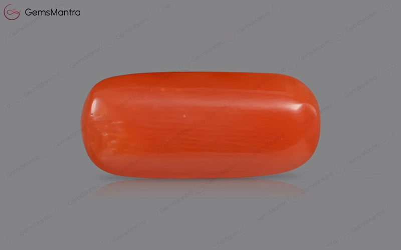 Red Coral - 5.26 Carats