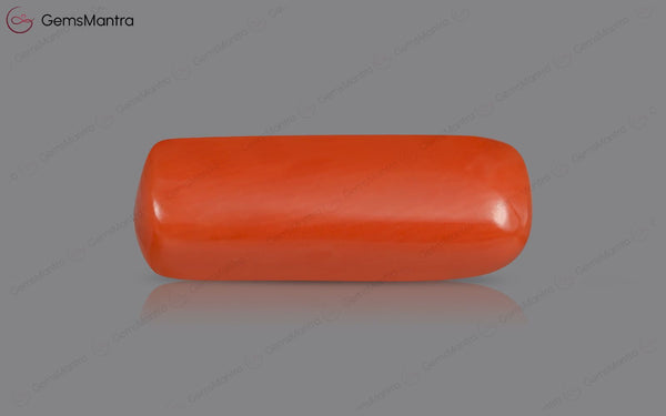 Red Coral - 5.09 Carats