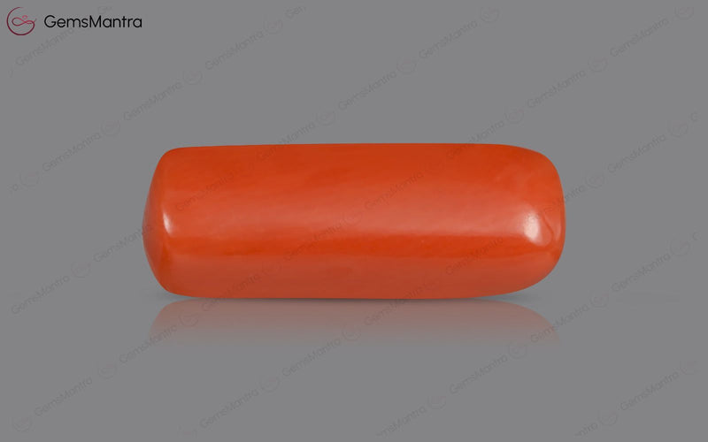 Red Coral - 5.09 Carats