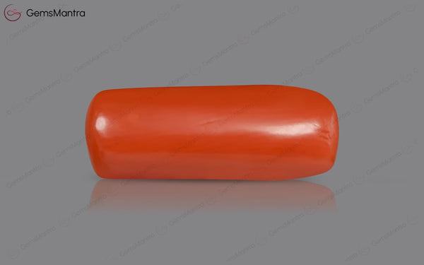 Red Coral - 5.09 Carats