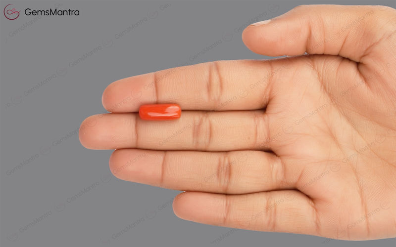 Red Coral - 5.09 Carats