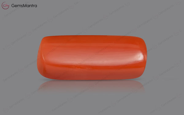 Red Coral - 5.19 Carats