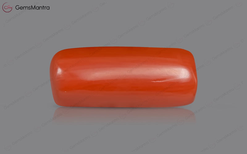 Red Coral - 5.19 Carats