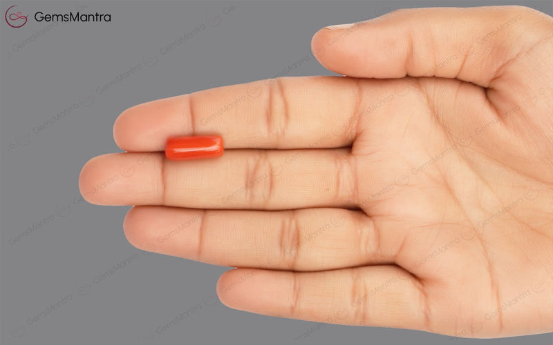 Red Coral - 5.19 Carats