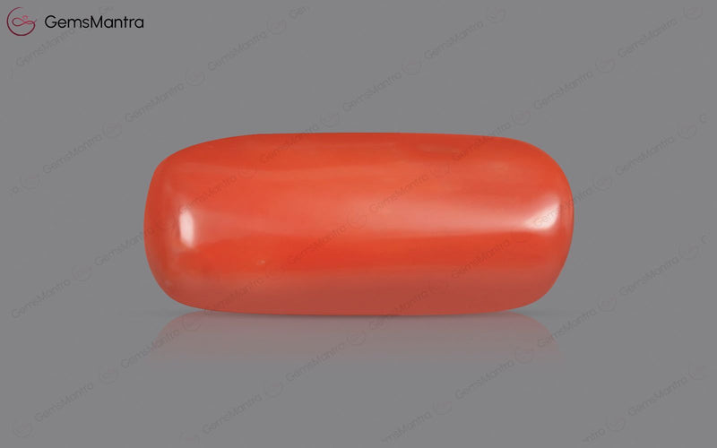 Red Coral - 4.58 Carats