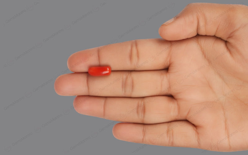 Red Coral - 4.58 Carats