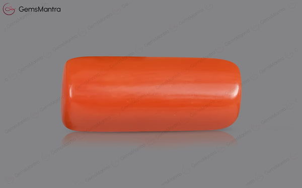 Red Coral - 4.92 Carats