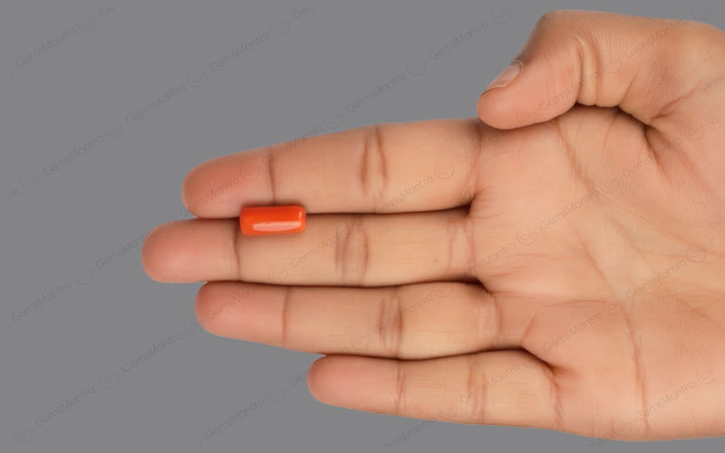 Red Coral - 4.92 Carats