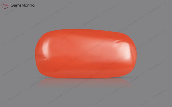 Red Coral - 4.64 Carats