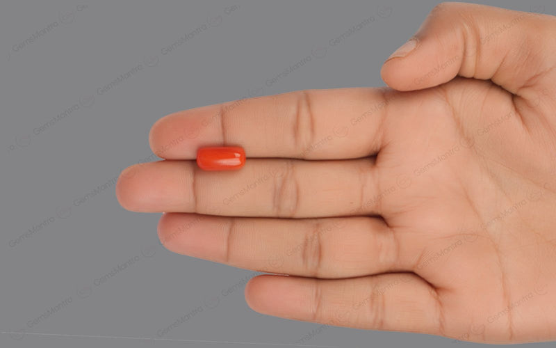 Red Coral - 4.64 Carats