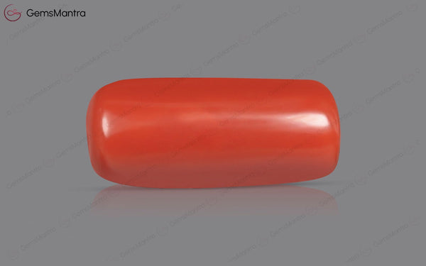 Red Coral - 4.75 Carats