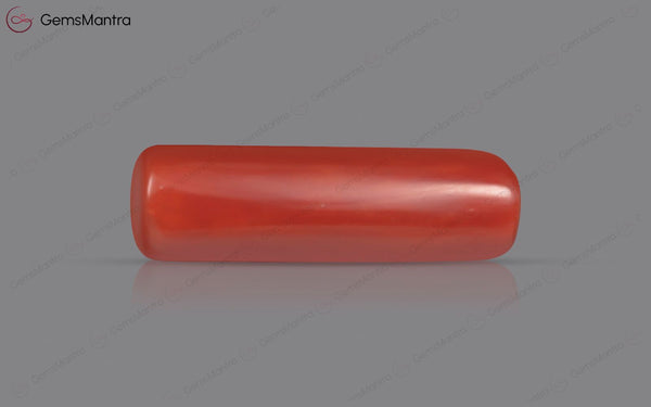 Red Coral - 7.7 Carats