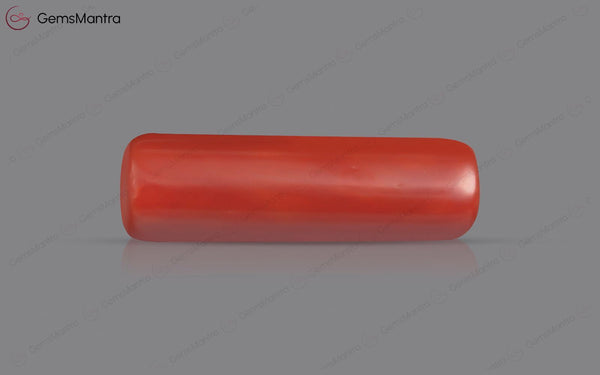 Red Coral - 7.7 Carats