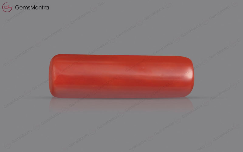 Red Coral - 7.7 Carats