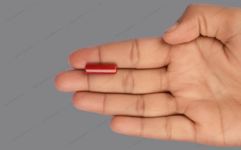 Red Coral - 7.7 Carats