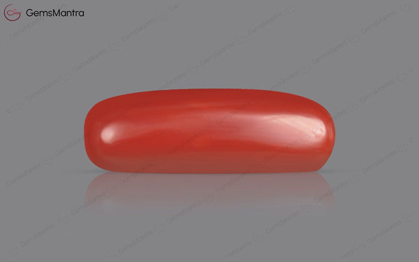 Red Coral - 7.84 Carats