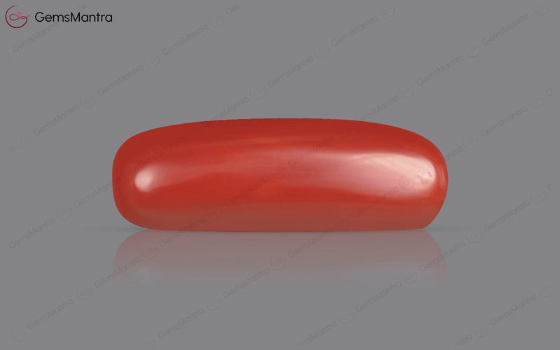 Red Coral - 7.84 Carats