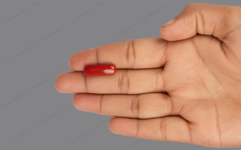 Red Coral - 7.84 Carats