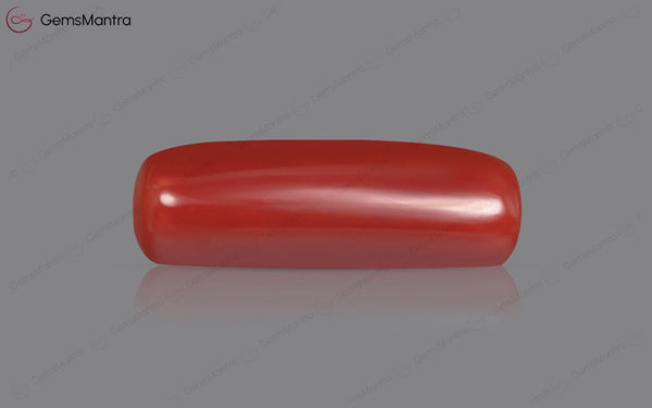 Red Coral - 7.82 Carats