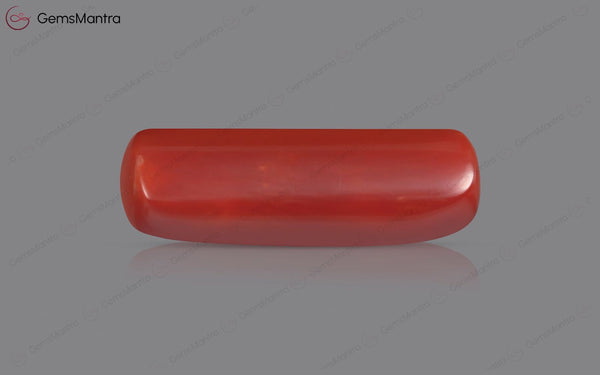 Red Coral - 7.82 Carats