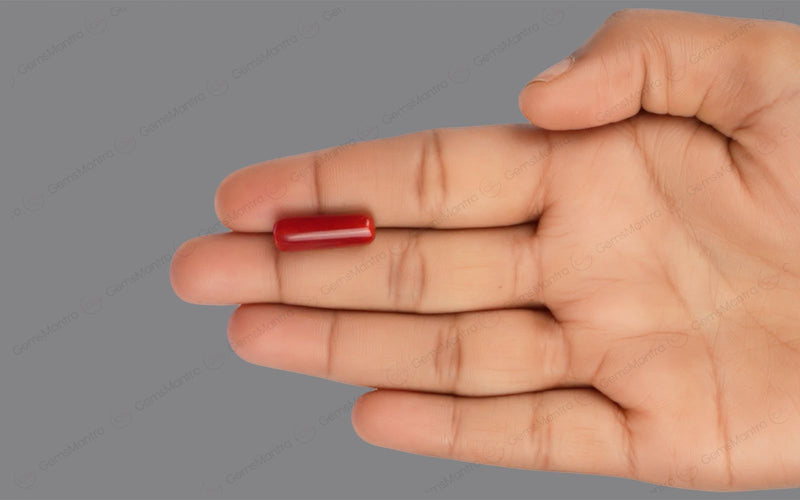 Red Coral - 7.82 Carats