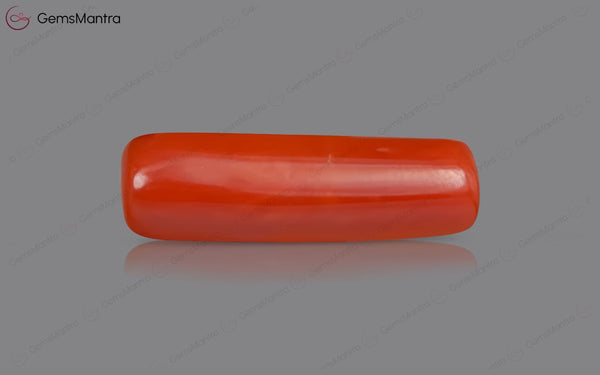 Red Coral - 7.81 Carats