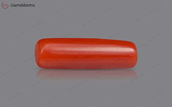 Red Coral - 7.81 Carats