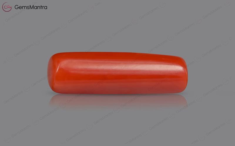 Red Coral - 7.81 Carats