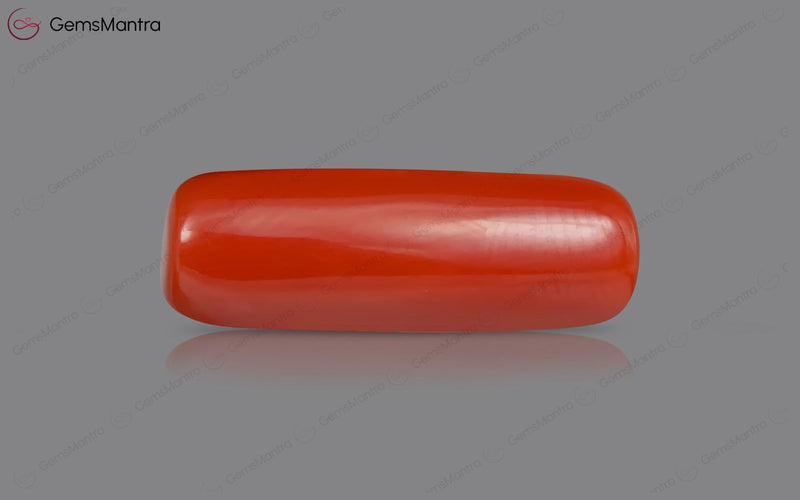 Red Coral - 7.48 Carats