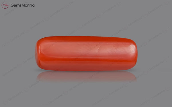 Red Coral - 7.48 Carats