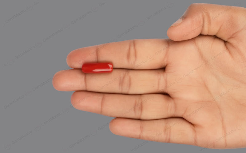 Red Coral - 7.48 Carats