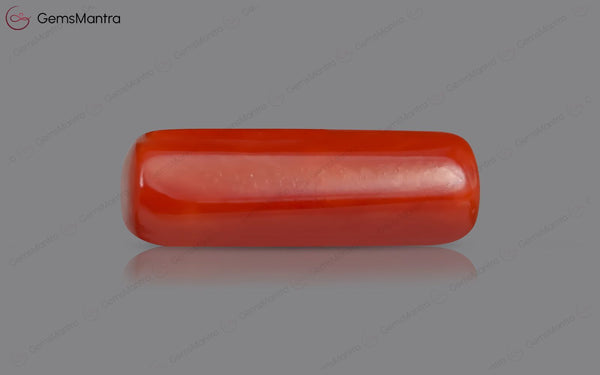 Red Coral - 7.4 Carats