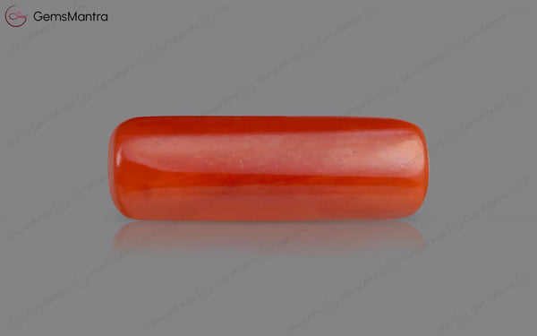 Red Coral - 7.4 Carats