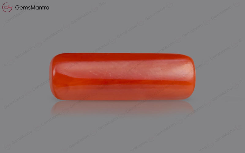 Red Coral - 7.4 Carats