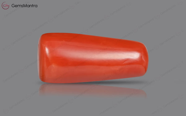 Red Coral - 7.96 Carats