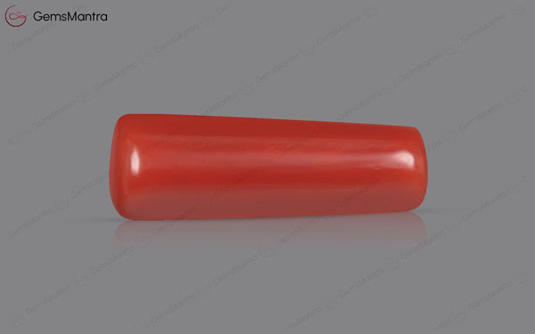 Red Coral - 7.72 Carats