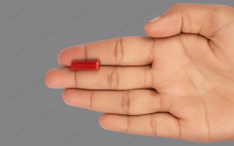 Red Coral - 7.72 Carats